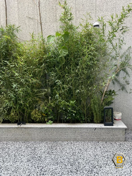 کفپوش دیپسی