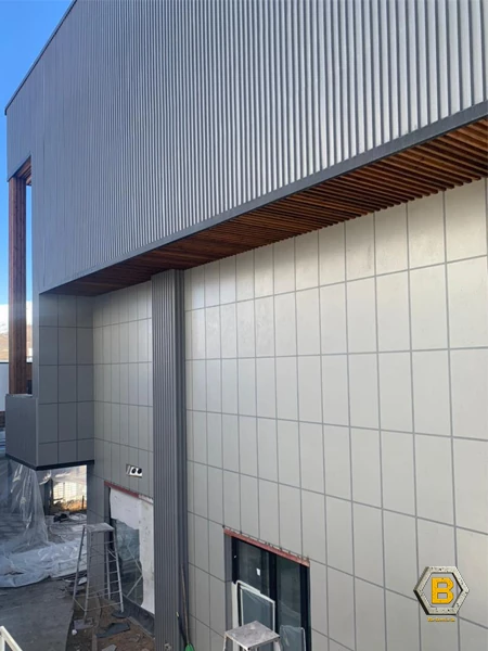 بتن اکسپوز نما