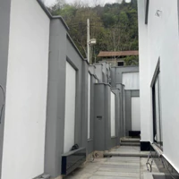 صفحه میکروسمنت نما